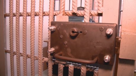 Пензенские полицейские задержали похитителя умных колонок