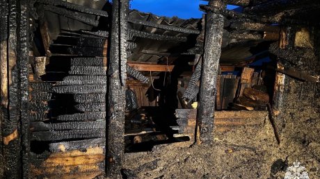 В Кузнецком районе сгорели две бани на одной улице