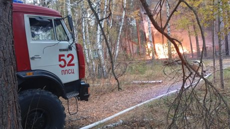 В Городищенском районе вспыхнул детский лагерь «Чайка»