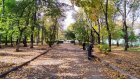 История Пензы: Горожане превратили фонтан в новом сквере в помойку