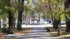 8 октября температура в Пензенской области поднимется до +19 градусов