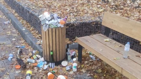 Тропа здоровья в Пензе стала скользкой из-за листвы