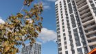 Перечислены отличия обычной спальни от мастер-спальни