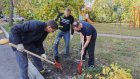Денис Соболев: На территориях домов высадят 600 деревьев