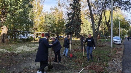 Денис Соболев: На территориях домов высадят 600 деревьев