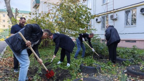 Денис Соболев: На территориях домов высадят 600 деревьев