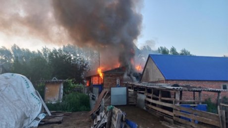 В Колышлейском районе 30-летняя женщина погибла из-за поджога
