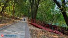 Чиновники объяснили отсутствие пандусов к Тропе здоровья