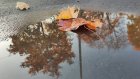 Выходные в Пензенской области окажутся дождливыми