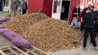 В Кузнецке волонтеры высушат для участников СВО более 10 тонн овощей
