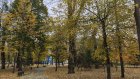 13 октября в Пензенской области ожидается порывистый ветер