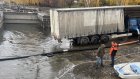 Компания «Т Плюс» выпустила в водохранилище мальков толстолобика