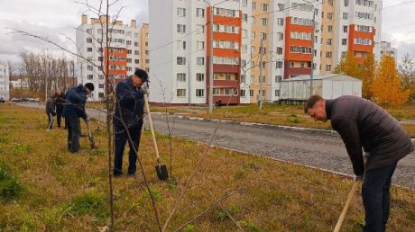 В Заре жителям обустроили пешеходную тропу до школы