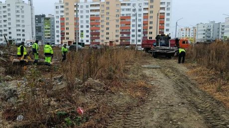 В Заре жителям обустроили пешеходную тропу до школы