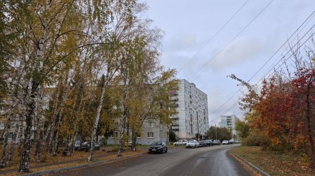 17 октября в Пензенской области погода практически не изменится