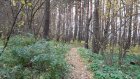 Двое пензенцев заманили в лес мужчину и стали вымогать деньги