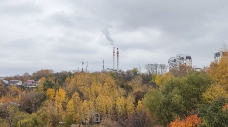 20 октября пензенцев ждет пасмурный и дождливый день