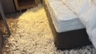 С Сергея Пенкина потребовали 350 000 рублей за инцидент в отеле