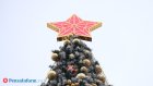 Новая елка на площади Ленина: во сколько обойдется и чем украсят