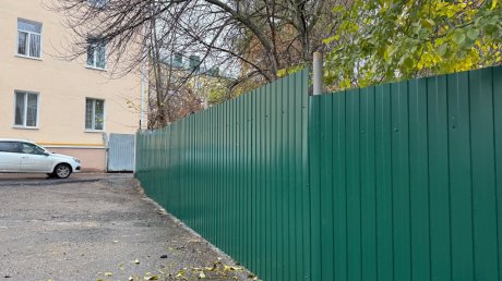 В сквере Дзержинского могут вырубить до сотни деревьев