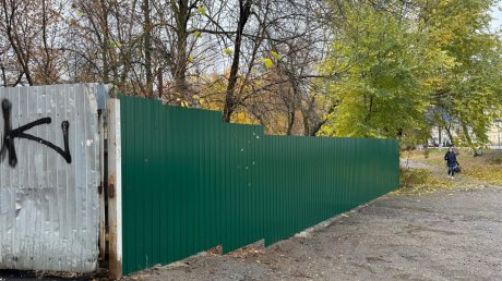 В сквере Дзержинского могут вырубить до сотни деревьев