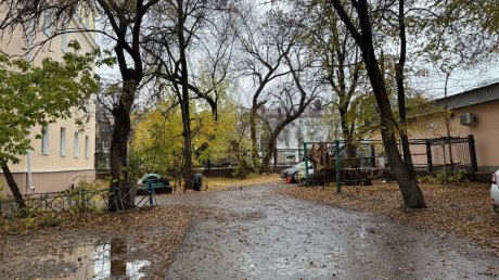 В сквере Дзержинского могут вырубить до сотни деревьев