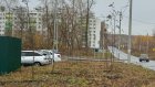 В Заре высадили каштаны, клены, рябины и сирень