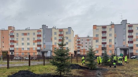 В Заре высадили каштаны, клены, рябины и сирень