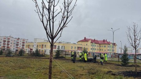 В Заре высадили каштаны, клены, рябины и сирень