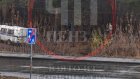 В лесу на Шуисте обнаружили труп 54-летнего пензенца