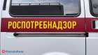 В 2025 году из-за нападения клещей пострадали 2 616 человек