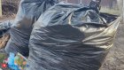В Пензе продлили срок бесплатного вывоза опавшей листвы на полигон