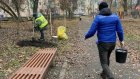 В сквере Дружбы на Шуисте высадили новые деревья