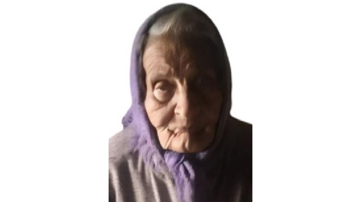 В Бессоновском районе разыскивают 87-летнюю пенсионерку
