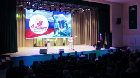 В Средней Елюзани День народного единства отметили концертом