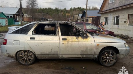 Обнародованы кадры с места пожара на ул. Свердлова в Кузнецке