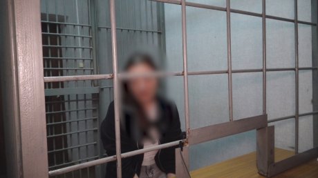 В Пензе женщину задержали за установку сим-боксов в квартире