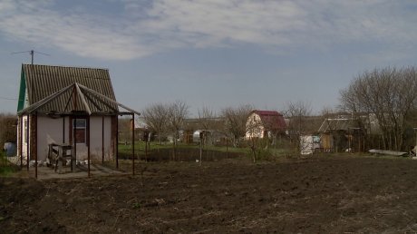 Сажайте в эти дни: назван подробный лунный календарь дачника на ноябрь