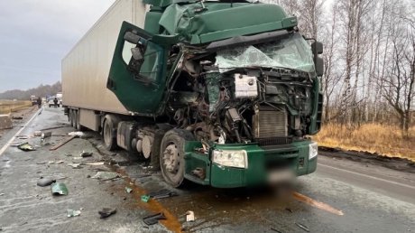 В Иссе насмерть сбили водителя, стоявшего рядом с фурой