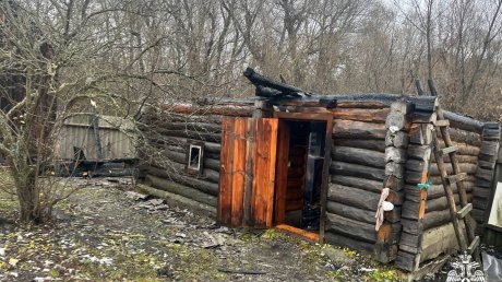 В Сосновоборском районе за сутки зафиксировали 2 пожара