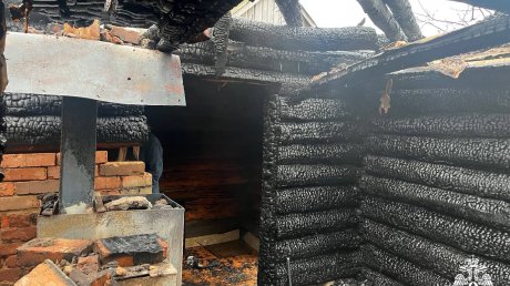 В Сосновоборском районе за сутки зафиксировали 2 пожара