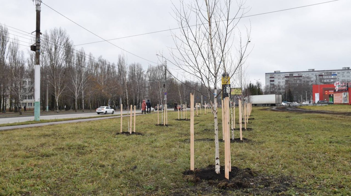 В Арбекове за осень высадили более 160 деревьев