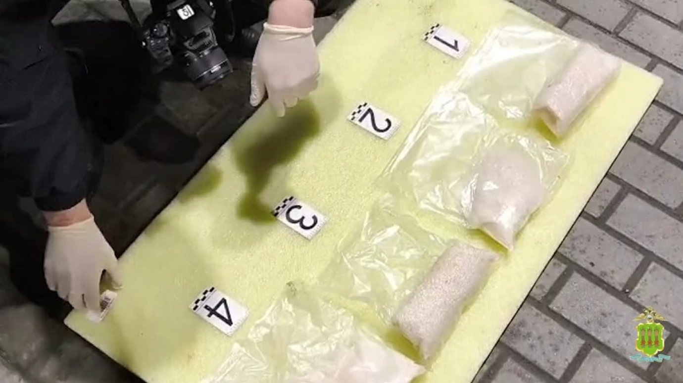 Конспирация: под Нижним Ломовом задержали наркокурьера с собакой