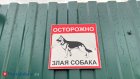 В России планируют создать единую службу защиты от агрессивных собак