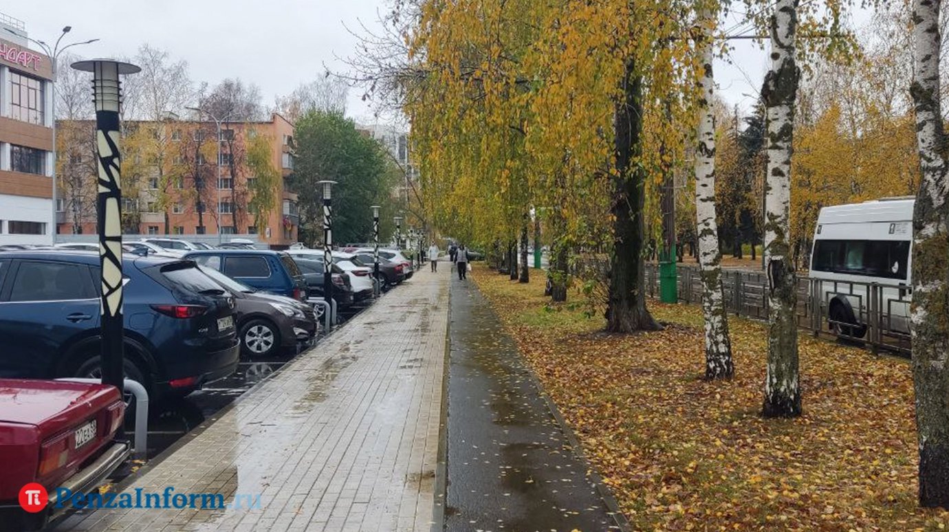 19 ноября воздух в Пензенской области может прогреться до +9 градусов