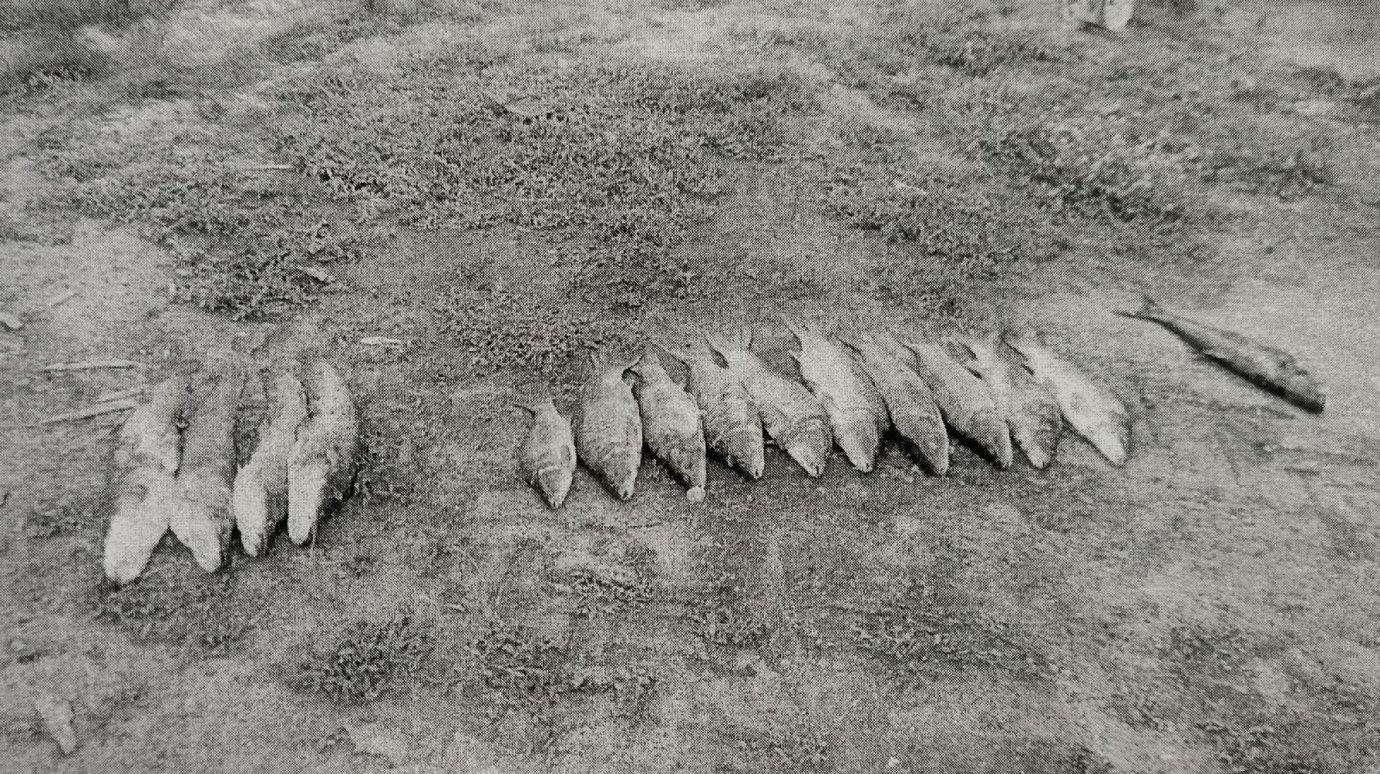 Разводил рыб: пойманный с сетями на пруду пензенец нашел оправдание