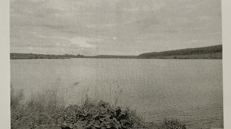 Разводил рыб: пойманный с сетями на пруду пензенец нашел оправдание