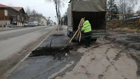 На улице Володарского водитель Kia снес молодую липу