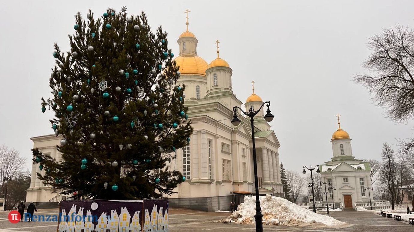 На установку елки на Соборной площади выделили почти полмиллиона