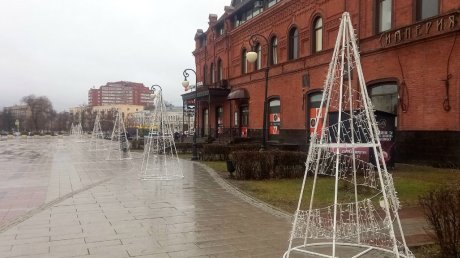 На площади Ленина в Пензе появились светодиодные елки